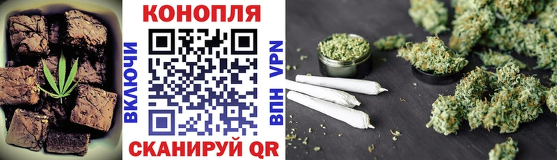 где продают наркотики  Шумиха  Canna-Cookies конопля 