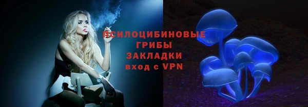 сатива Арсеньев