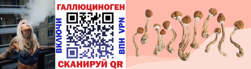 Псилоцибиновые грибы MAGIC MUSHROOMS купить цена Шумиха